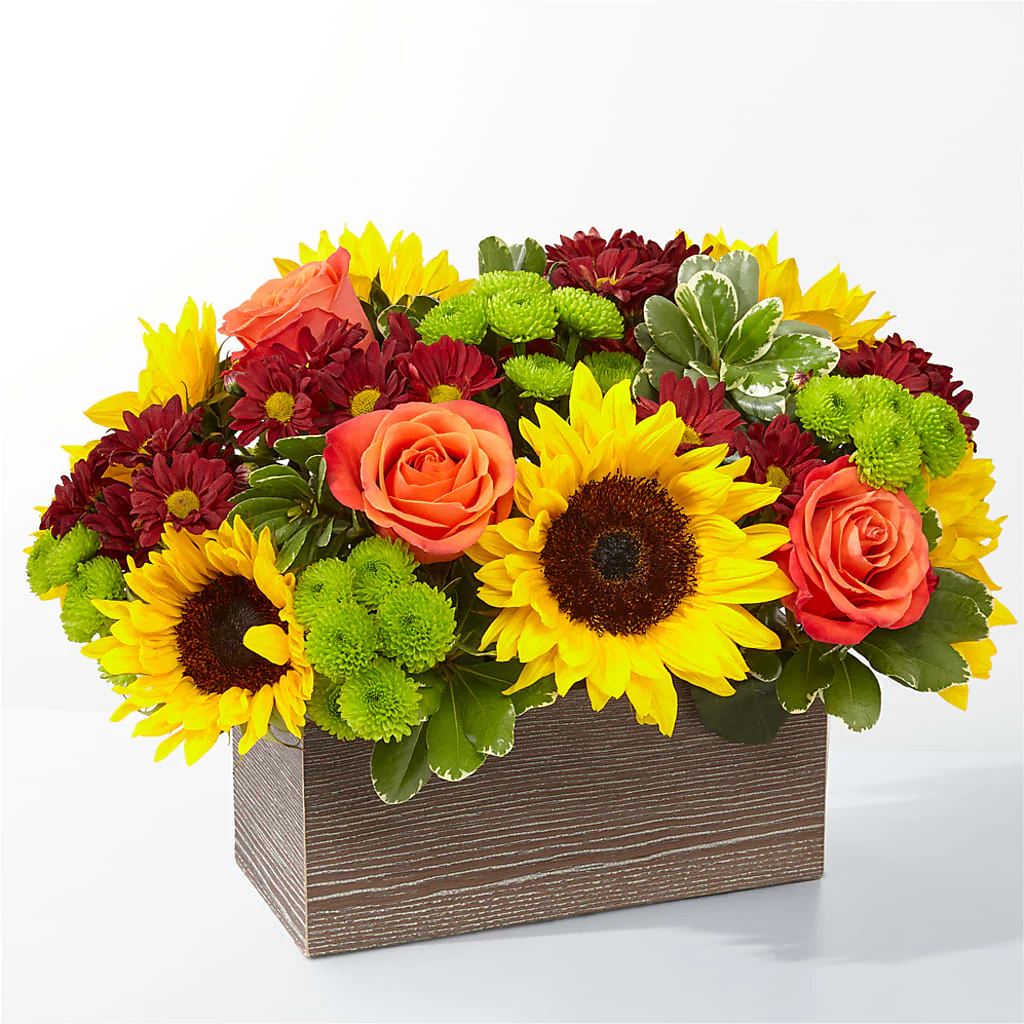Happy Harvest Garden - Image 2